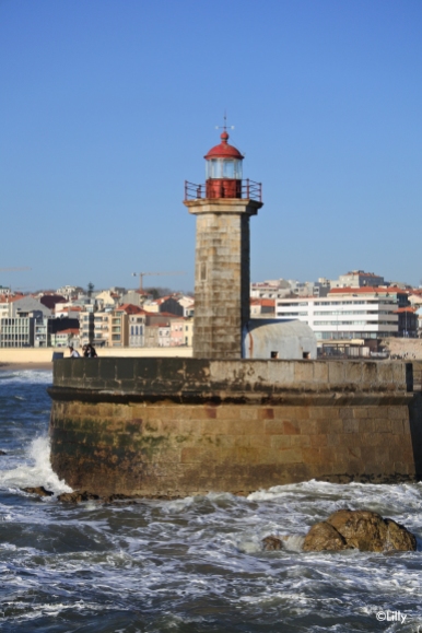 Porto_Ocean7©Lilly